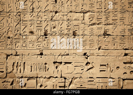 Tempio di Karnak Foto Stock