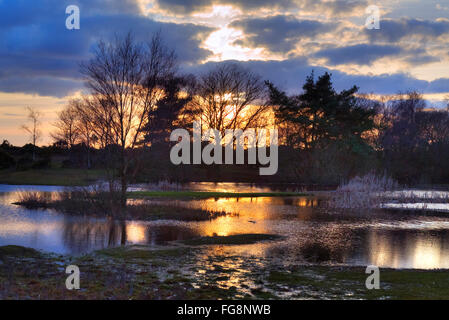 Tramonto nella nuova foresta a Hatchet Pond, Beaulieu, Hampshire, Inghilterra, Regno Unito Foto Stock