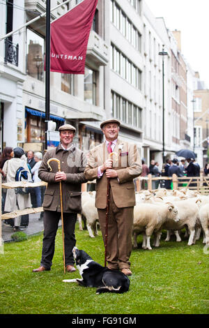 Londra, UK 5 ottobre 2015 pastori di campagna per la lana settimana 2015 con pecora su Savile Row a Londra centrale. Foto Stock