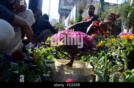 Srinagar, Indiano Kashmir amministrato. 18 Febbraio, 2016. Un lato strada venditore a vendere Piante & fiori a Srinagar durante il meteo miglioramento dopo Credito: Sofi Suhail/Alamy Live News Foto Stock