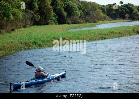 Un kayaker sul Myakka River se Florida, Stati Uniti d'America Foto Stock