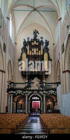 Vista interna di San Salvator della Cattedrale di Bruges in Fiandra occidentale Belgio Foto Stock