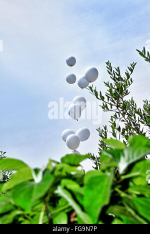 White ballons nel cielo con erba Foto Stock