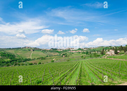 Il paesaggio toscano di vineyar in una bella giornata di sole Foto Stock