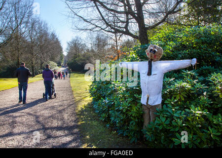 Knutsford, Cheshire, 18 febbraio, 2016. Scarecrows ispirato da Roald Dahl i personaggi stanno prendendo su Tatton Park's gardens questo febbraio half term per celebrare il lancio di Roald Dahl è grande avventure a Tatton, uno di un numero di eventi che si svolgono durante il Roald Dahl 100 celebrazioni. © MarPhotographics/Alamy Live News Foto Stock