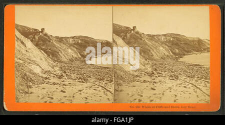 La fotografia di R.G. Shute di Gay Head, che si trova sulla vigna di Martha, cattura le scogliere e il litorale drammatico. L'immagine mostra la bellezza naturale e le caratteristiche geologiche della zona, illustrando la sua costa frastagliata e la vista panoramica. Foto Stock