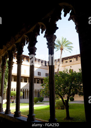 Convento de San Francisco, Palma de Mallorca, Spagna Foto Stock