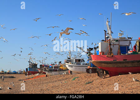 Gabbiani in bilico su barche da pesca sul Hastings di pescatori di Stade beach, East Sussex, Inghilterra, GB, Regno Unito Foto Stock