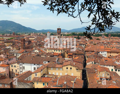 Sui tetti di Lucca Foto Stock