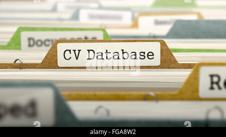 CV Concetto di Database su file etichetta. Foto Stock