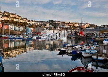 Brixham; porto; Devon, Regno Unito Foto Stock