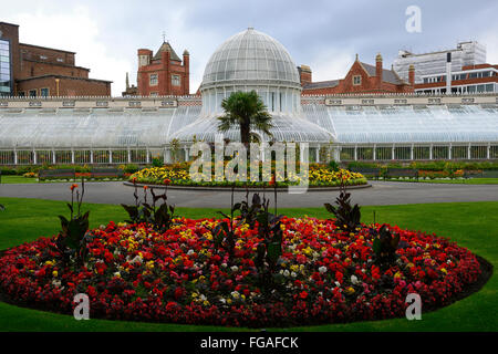 Belfast Giardini Botanici Palm House Casa di vetro biancheria letto di confine display circolare annuale letti annuari colore floreale RM Foto Stock