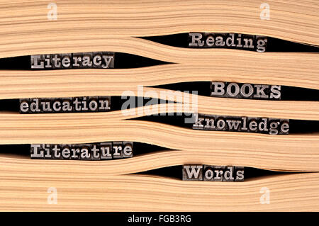 I caratteri di stampa in rilievo l'ortografia educative / parole di alfabetizzazione Foto Stock