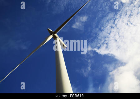 Turbina eolica a Whitelee, più grande del Regno Unito per centrali eoliche onshore, vicino a Glasgow, in Scozia, Regno Unito Foto Stock