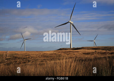 Le turbine eoliche a Whitelee, più grande del Regno Unito per centrali eoliche onshore, vicino a Glasgow, in Scozia, Regno Unito Foto Stock