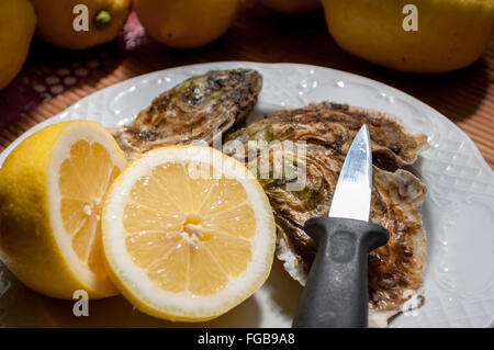 Preparazione dei molluschi destinati al consumo,aprirlo, sullo sfondo di limone in una mano d'uomo Foto Stock