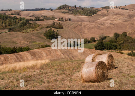 Colline ondulate con balle di fieno raccolto su terreni agricoli in Toscana Italia. Foto Stock