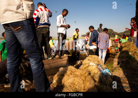 I pescatori si riuniscono per sbarcare le loro catture di pesci nelle prime ore del mattino sun. Il lago di Hawassa, Etiopia, Africa. Foto Stock