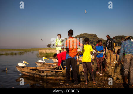 I pescatori si riuniscono per sbarcare le loro catture di pesci nelle prime ore del mattino sun. Il lago di Hawassa, Etiopia, Africa. Foto Stock