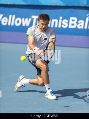 Delray Beach, Florida, Stati Uniti d'America. 18 Febbraio, 2016. TIM SMYCZEK (USA) in azione qui sconfigge Donald giovani (USA)16 76(2) 62 al 2016 Delray Beach aprire un ATP Masters 250 torneo tenutasi al Delray Beach Tennis Center. Credito: Andrea, Patrono/ZUMA filo/Alamy Live News Foto Stock