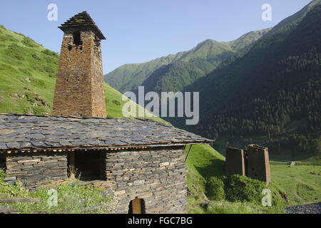 Dartlo, vecchio villaggio con torri difensive, Tusheti, Georgia Foto Stock