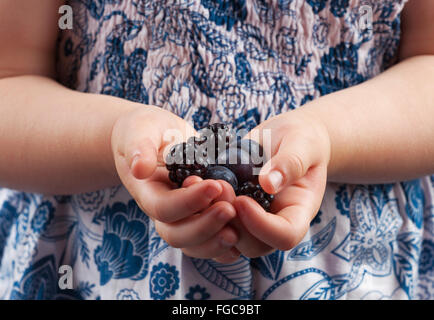 Bambino Piccolo mani tenendo i mirtilli e more closeup. Foto Stock