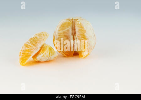 Un sbucciate arancione con sezioni, citrus x sinensis, su sfondo bianco con colore dissolvenza. Foto Stock