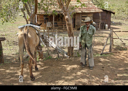 Il vecchio cowboy e la sua cabina in Valle de los Ingenios (Valle dei Mulini di zucchero), Trinidad, Cuba Foto Stock