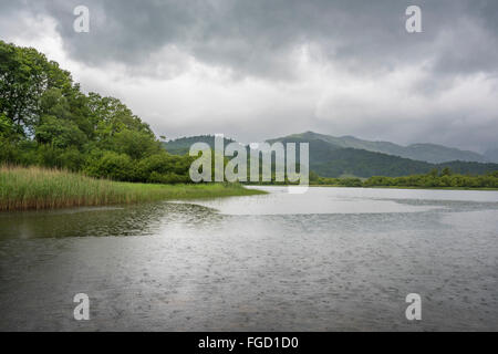 Acqua Elter, Cumbria. Foto Stock