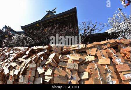 Tokyo, Giappone. 19 Feb, 2016. Pile di tavolette votive, scritto con auguri realizzato dagli studenti per passare gli esami di ingresso delle alte scuole e college e la copertura delle pareti in corrispondenza di Yushima Tenjin, che racchiude in sé lo spirito di un antico studioso, a Tokyo il Venerdì, 19 febbraio 2016. Il sacrario scintoista è famosa anche per i fiori di albicocca sapere in piena fioritura. © Natsuki Sakai/AFLO/Alamy Live News Foto Stock