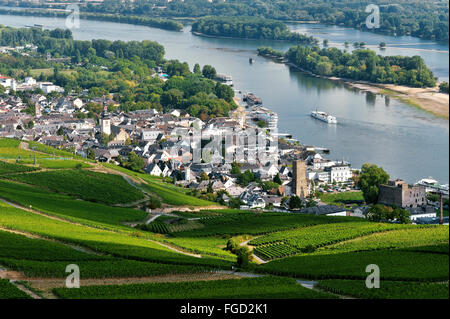 Rüdesheim am Rhein e vigneti, Valle del Reno superiore e centrale, Germania Foto Stock