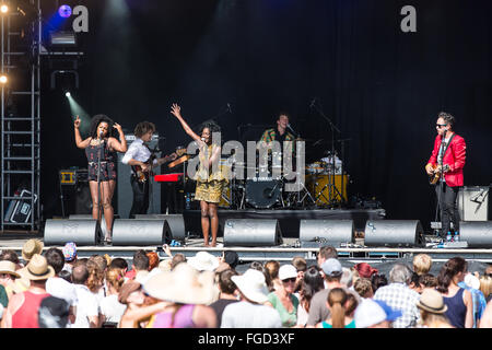 Noisettes Foto Stock