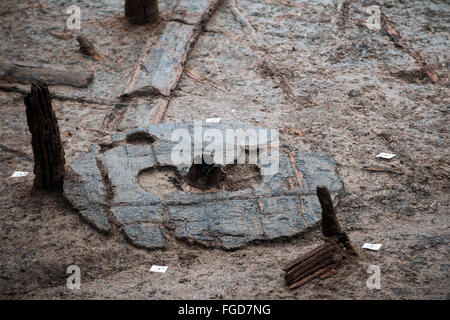 Gli archeologi hanno scoperto una 3000 anno di età del Bronzo Antico della ruota in corrispondenza deve farm site in Cambridgeshire, Regno Unito Foto Stock