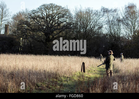 Le pistole in attesa di peg a Boulge, Suffolk. Foto Stock