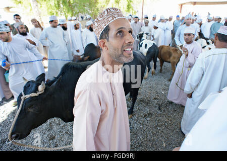 Gli animali di allevamento (bovini) mercato a Nizwa, Oman. Foto Stock