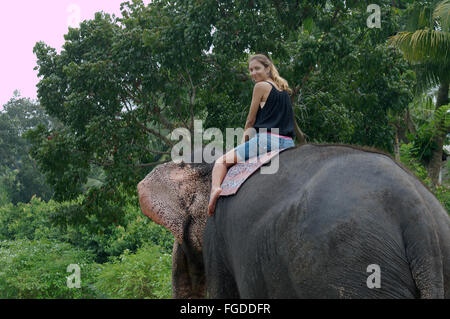 La donna corse su un elefante attraverso la giungla - elefante indiano, elefante asiatico o elefante Asiatico (Elephas maximus) Hikkaduwa, Foto Stock