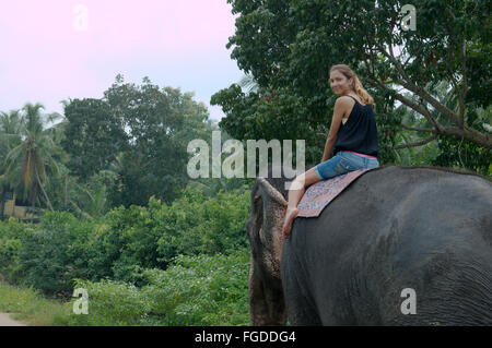 La donna corse su un elefante attraverso la giungla - elefante indiano, elefante asiatico o elefante Asiatico (Elephas maximus) Hikkaduwa, Foto Stock