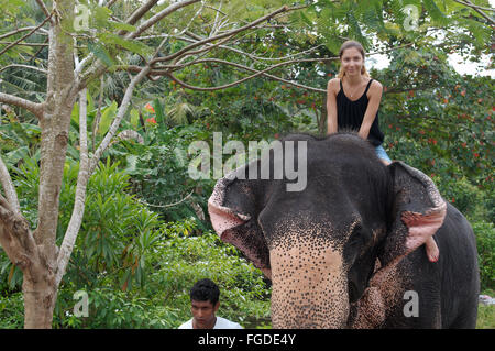 La donna corse su un elefante attraverso la giungla - elefante indiano, elefante asiatico o elefante Asiatico (Elephas maximus) Hikkaduwa, Foto Stock