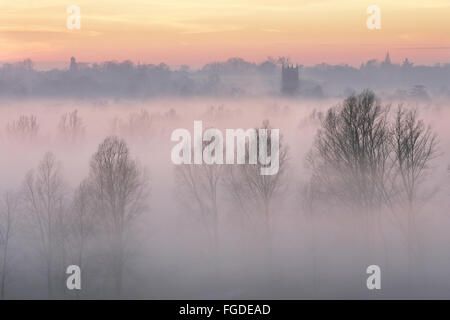 Vista di alberi nella nebbia al tramonto, guardando verso Dedham e chiesa in distanza, Fiume Stour, Dedham Vale, Essex, Inghilterra, Dicembre Foto Stock