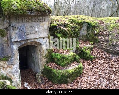 Verdun, Francia. Xx Febbraio 2014. Un iscrizione sopra la porta di ingresso di un bunker di una trincea in tedesco si legge: "Nella fedeltà incrollabile' vicino Apremont-la-Foret vicino a Verdun, Francia, 20 febbraio 2014. Foto: Gerd Roth/dpa/Alamy Live News Foto Stock