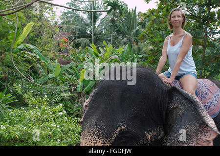 La donna corse su un elefante attraverso la giungla - elefante indiano, elefante asiatico o elefante Asiatico (Elephas maximus) Hikkaduwa, Foto Stock