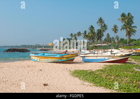 Molti catamarano tradizionali barche da pesca Sri Lanka sulla spiaggia, Hikkaduwa, Sri Lanka, Sud Asia Foto Stock