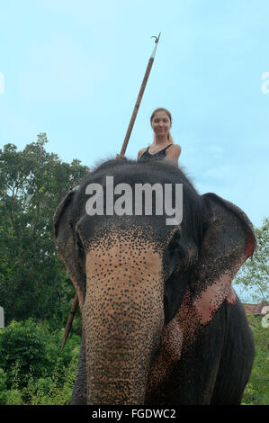 3 marzo 2016 - La donna corse su un elefante indiano, elefante asiatico o elefante Asiatico (Elephas maximus), Hikkaduwa, Sri Lanka, Sud Asia (credito Immagine: © Andrey Nekrasov/ZUMA filo/ZUMAPRESS.com) Foto Stock