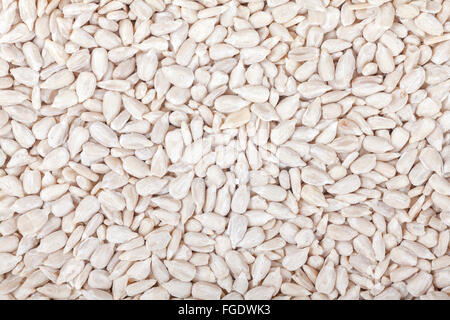 Close up foto di semi di girasole, cibo sfondo. Foto Stock