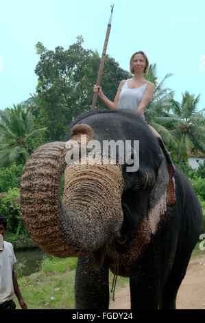 3 marzo 2016 - La donna corse su un elefante indiano, elefante asiatico o elefante Asiatico (Elephas maximus), Hikkaduwa, Sri Lanka, Sud Asia (credito Immagine: © Andrey Nekrasov/ZUMA filo/ZUMAPRESS.com) Foto Stock