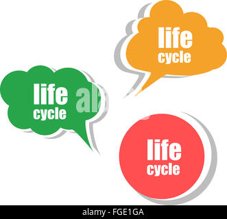 Ciclo di vita. Set di adesivi, etichette tag. Modello per infographics Foto Stock