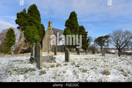 Tutti i Santi Chiesa Parrocchiale Muggleswick Foto Stock