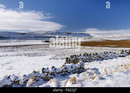 Teesdale superiore in inverno Foto Stock