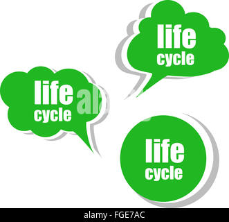 Ciclo di vita. Set di adesivi, etichette tag. Modello per infographics Foto Stock