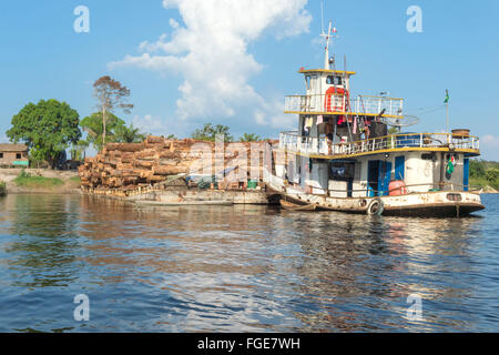 Barge trasportare i registri della foresta pluviale sul fiume Rio delle Amazzoni, Amazona stato, Brasile Foto Stock